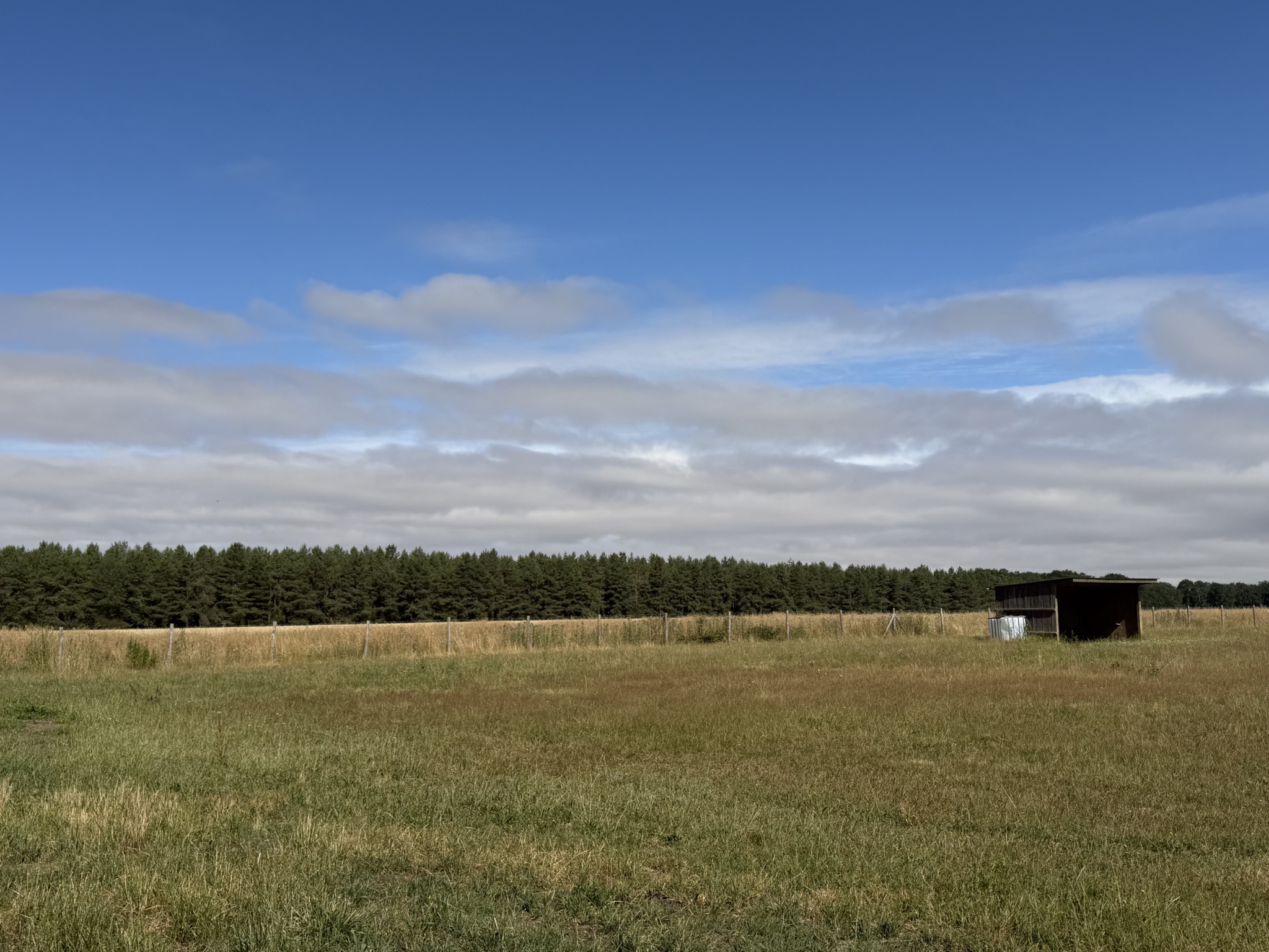 La Hauteville (78113) Prairies clôturées